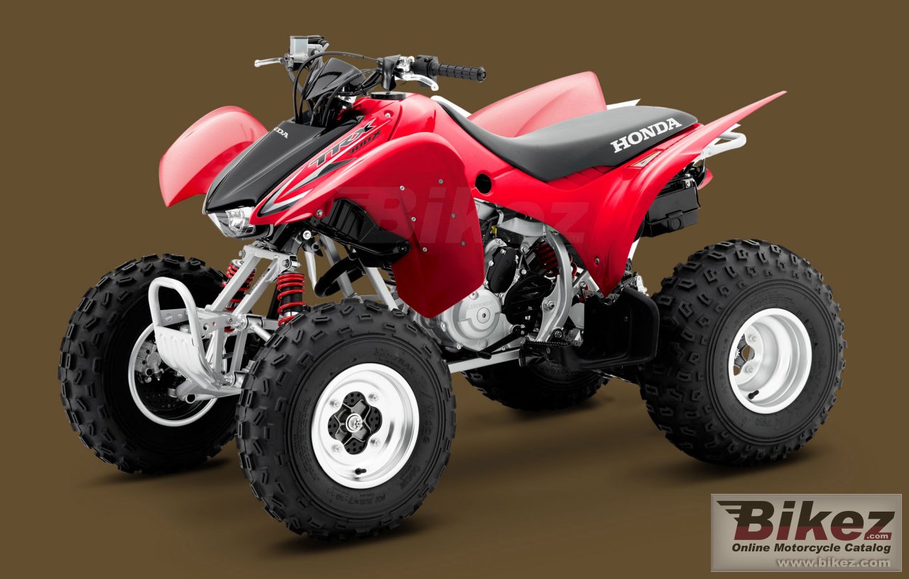 Big Honda trx300x picture and wallpaper from Bikez.com